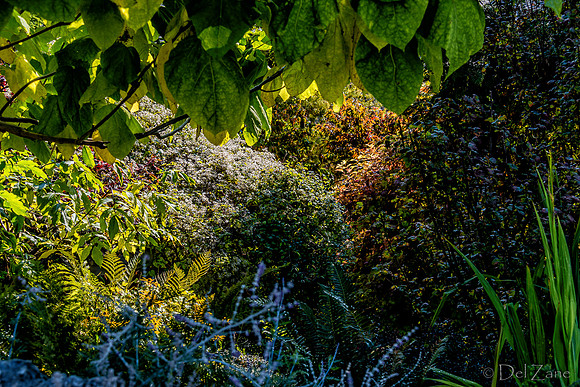 10-12 D800 28-300--9