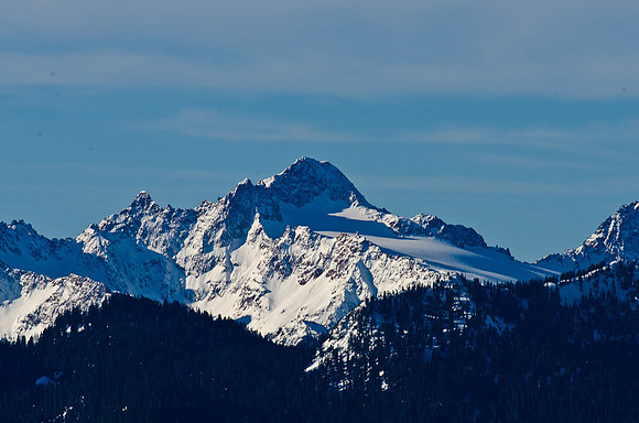 _DSC4955