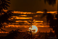 06-18 Twilight Moon--8