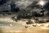 Bronze Sunset--5