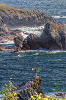 Albion River--13