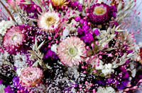 Pike Place Flora Sampling-7