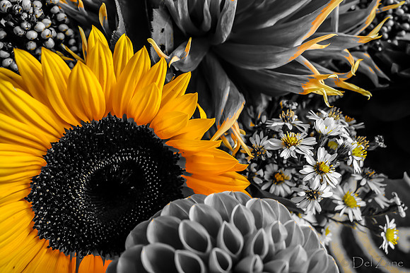 09-19 Colorized Bouquet Bokeh-0309