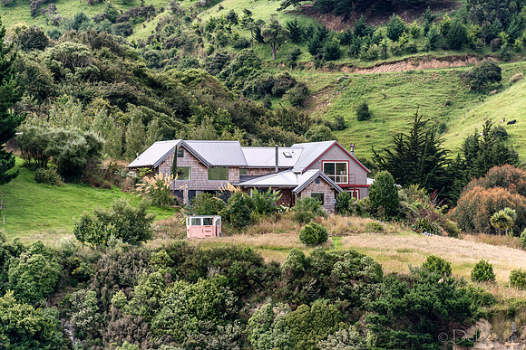 Dunedin Farewell--10