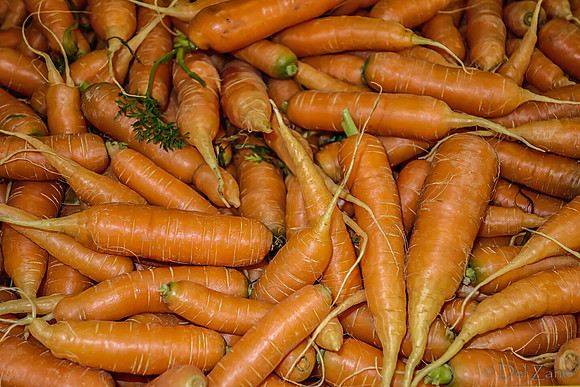 11-23-2013  Xmas Farmers' Market II--24