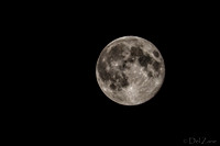 08-10 Super Moon Tiffs--7