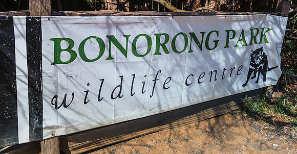 Bonorong Animals-