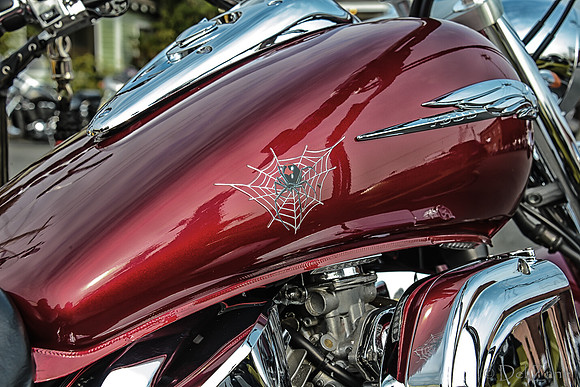 09-23 Oyster Run-38