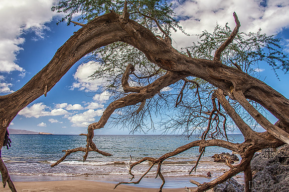 Makena Beach-20