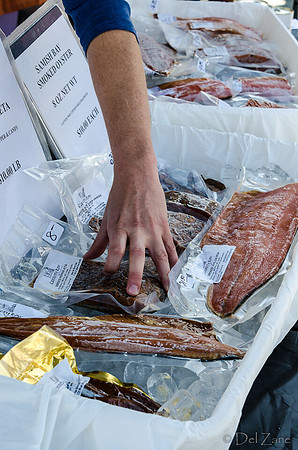 Faces of The Farmers' Market-22