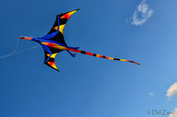 04-08 Tulips and Kites TIFFs--9