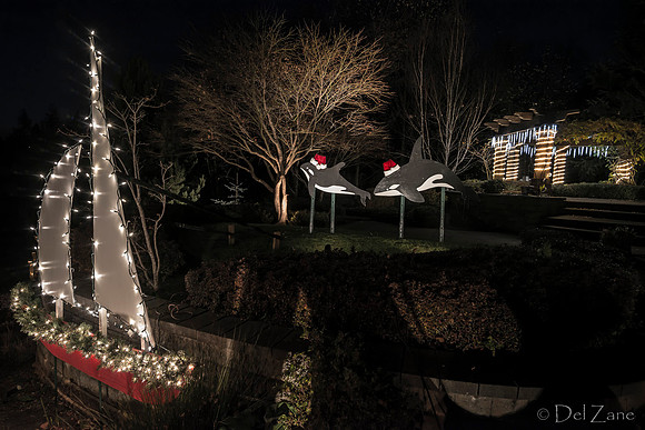 11-27-13  Marine Heights Nighttime Xmas Display JPEGs--5