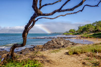 01-25 Maui Rainbow Tiffs--11