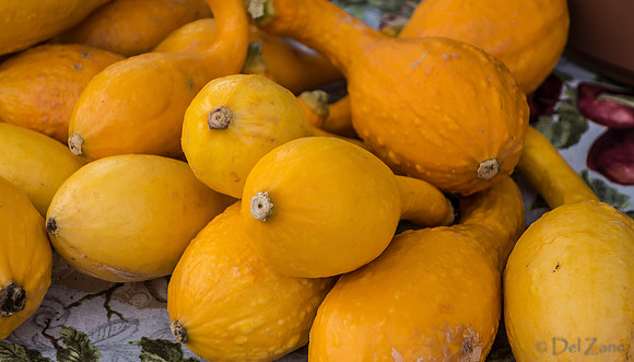 10-05 Farmers' Market--51