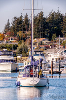 10-02 Tugboat Park TIFFs--13