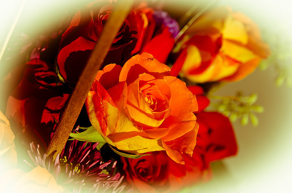 _DSC4484
