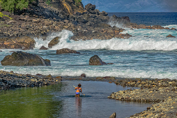 01-14 Northshore Coastline TIFFs--20
