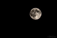 07-11 Super Moon Tiffs--7