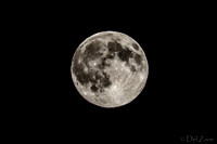 07-11 Super Moon Tiffs--8
