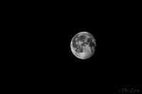 03-29 Early Morning Moon-3