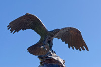 Bronze Eagle-10