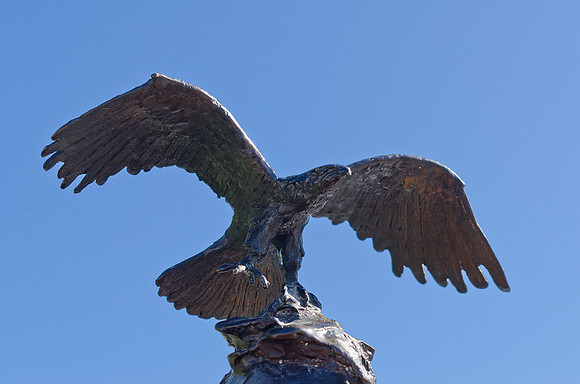 Bronze Eagle-10