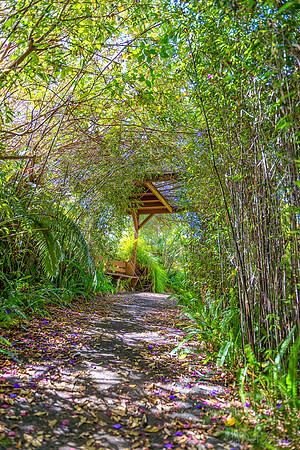 01-23 Kula Botanical Gardens TIFFs--30