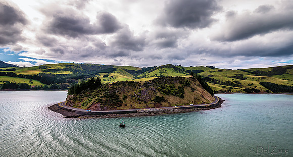 Dunedin Farewell--5