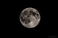 07-11 Super Moon Tiffs--9