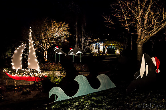 11-27-13  Marine Heights Night Xmas Display--3