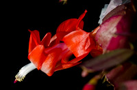 _DSC4614