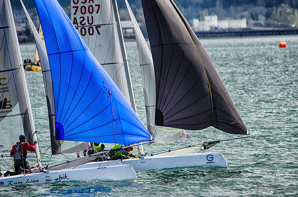 04-06 Tulip Regatta Press Release Photos-7
