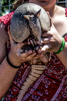 07-20 Misc Animals_reptiles--7