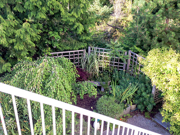 04-01 SDZ Garden Yard JPEGs-894