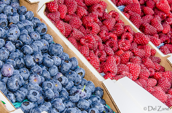 07-21 Farmers' Market-51
