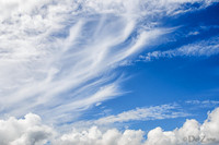 Look Up!!!-6