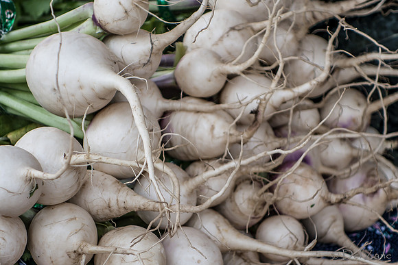 10-05 Farmers' Market--60