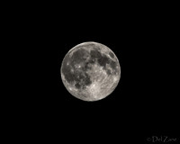 07-11 Super Moon Tiffs--14