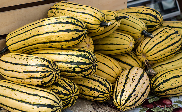 10-05 Farmers' Market--52