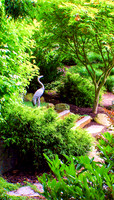 04-01 SDZ Garden Yard JPEGs-033