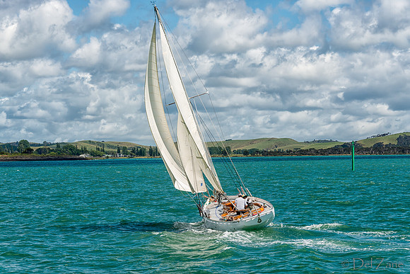 Bay of Islands NZ--5