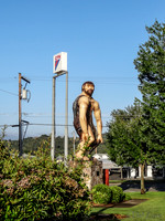 SDZ Trip Pix-