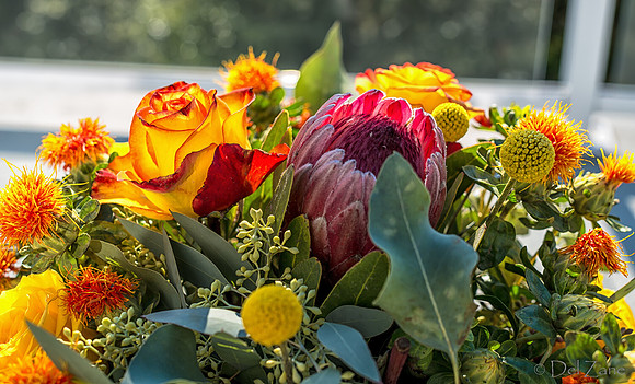 10-01 Bouquet TIFFs--17