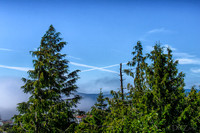 07-11 Fogust-5