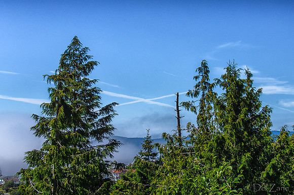 07-11 Fogust-5