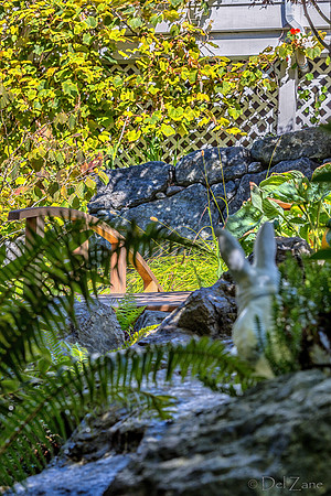 09-12 Shadra's Fall Garden Stroll--41