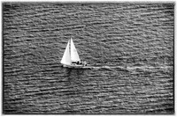 08-25-2012 Northern Century Sailboat Race-5
