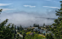 07-11 Fogust-7