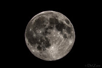 07-11 Super Moon Tiffs--11