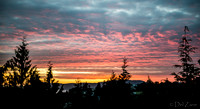 06-16 Sunset--16